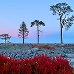 Hébergement de vacances Lapland Tunturimaja Ski-in - Lapland - Slopes, Trails, National Park, Just Steps From Local Amenities, Yet Peaceful, Private Sauna *