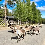 Lapland Tunturimaja Ski-in - Lapland - Slopes, Trails, National Park, Just Steps From Local Amenities, Yet Peaceful, Private Sauna Hébergement de vacances Pyhätunturi