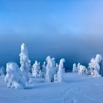 Hébergement de vacances Lapland Tunturimaja Ski-in - Lapland - Slopes, Trails, National Park, Just Steps From Local Amenities, Yet Peaceful, Private Sauna *