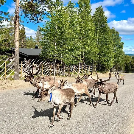 Lapland Tunturimaja Ski-in - Lapland - Slopes, Trails, National Park, Just Steps From Local Amenities, Yet Peaceful, Private Sauna 度假居 普哈圣山