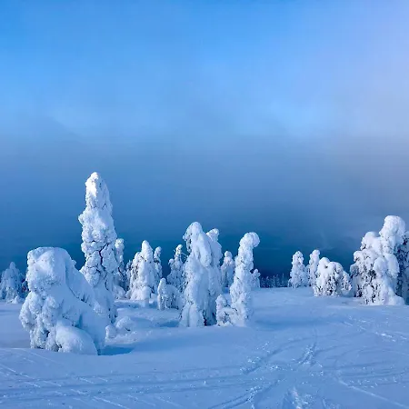 度假居 Lapland Tunturimaja Ski-in - Lapland - Slopes, Trails, National Park, Just Steps From Local Amenities, Yet Peaceful, Private Sauna *