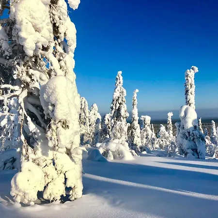 度假居 Lapland Tunturimaja Ski-in - Lapland - Slopes, Trails, National Park, Just Steps From Local Amenities, Yet Peaceful, Private Sauna 普哈圣山