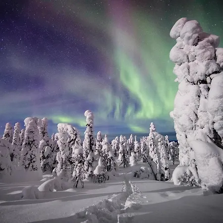 度假居 Lapland Tunturimaja Ski-in - Lapland - Slopes, Trails, National Park, Just Steps From Local Amenities, Yet Peaceful, Private Sauna *