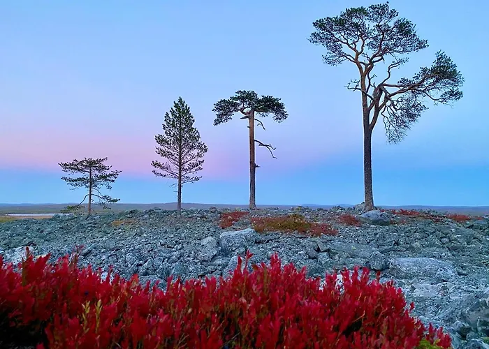 بيت للعطل Lapland Tunturimaja In, Sauna, Wifi, In Pyhae Center - Lapland *