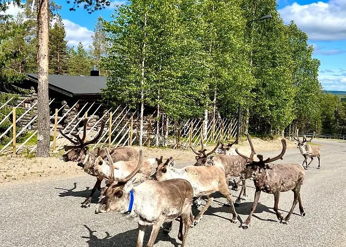 Lapland Tunturimaja In, Sauna, Wifi, In Pyhae Center - Lapland بيت للعطل Pyhätunturi