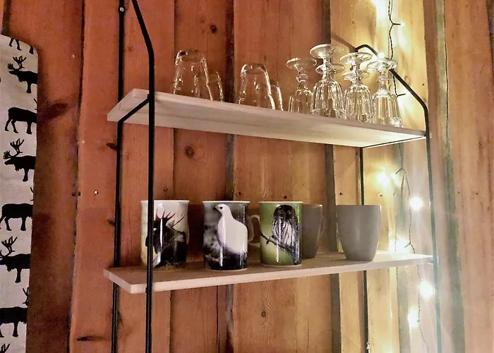 Lapland Tunturimaja In, Sauna, Wifi, In Pyhae Center - Lapland بيت للعطل *