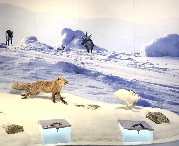 Lapland Tunturimaja In, Sauna, Wifi, In Pyhae Center - Lapland بيت للعطل Pyhätunturi